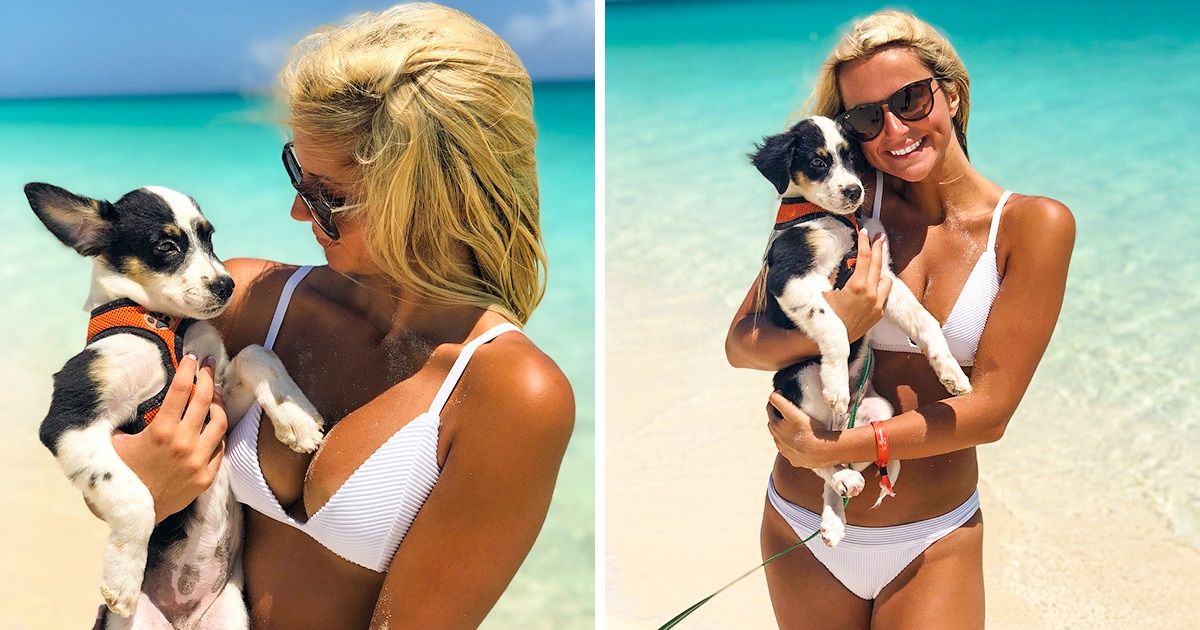 A ilha caribenha cheia de cachorros resgatados: um paraíso na Terra