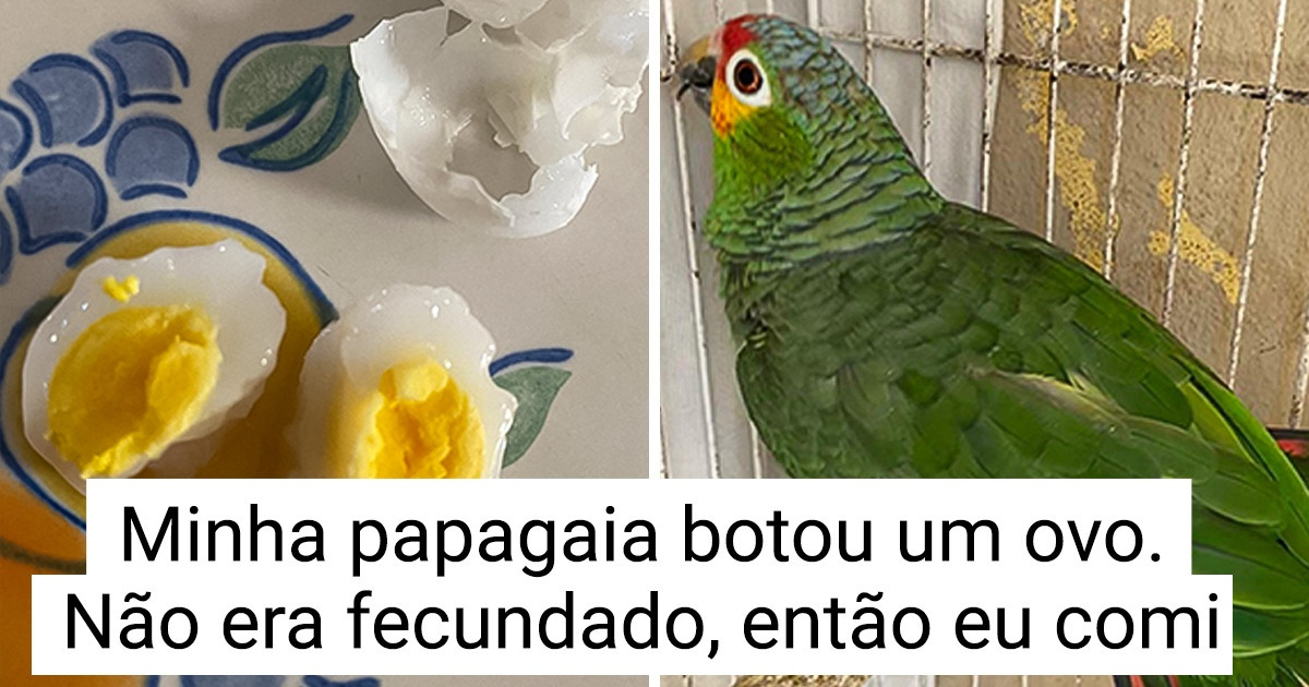 16 Pessoas que tiveram sorte o bastante a ponto de se depararem com o lado escondido das coisas