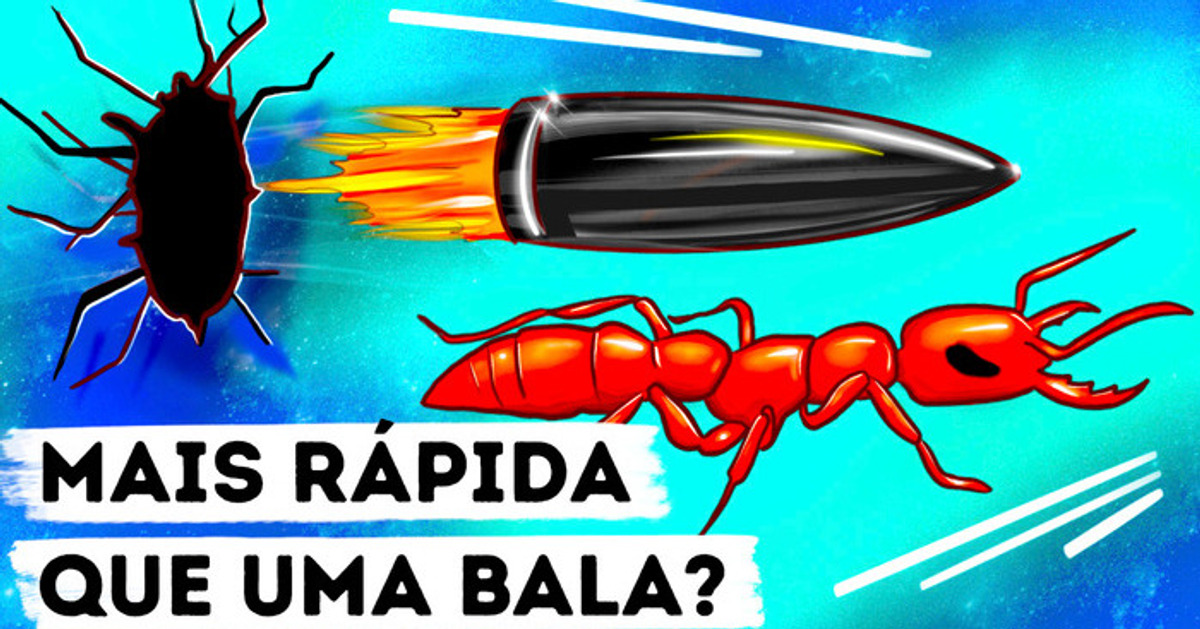 O animal mais rápido não é o guepardo, mas um inseto com uma mordida assustadora?