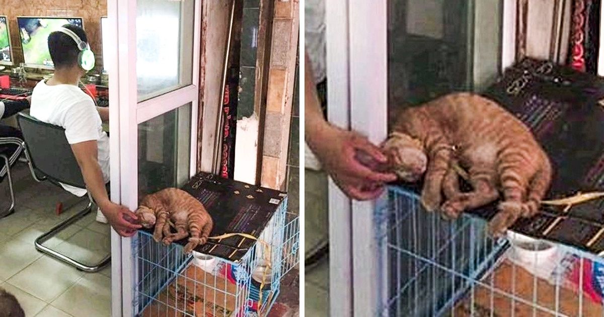 18 Pessoas que sabem muito bem como estabelecer as suas prioridades