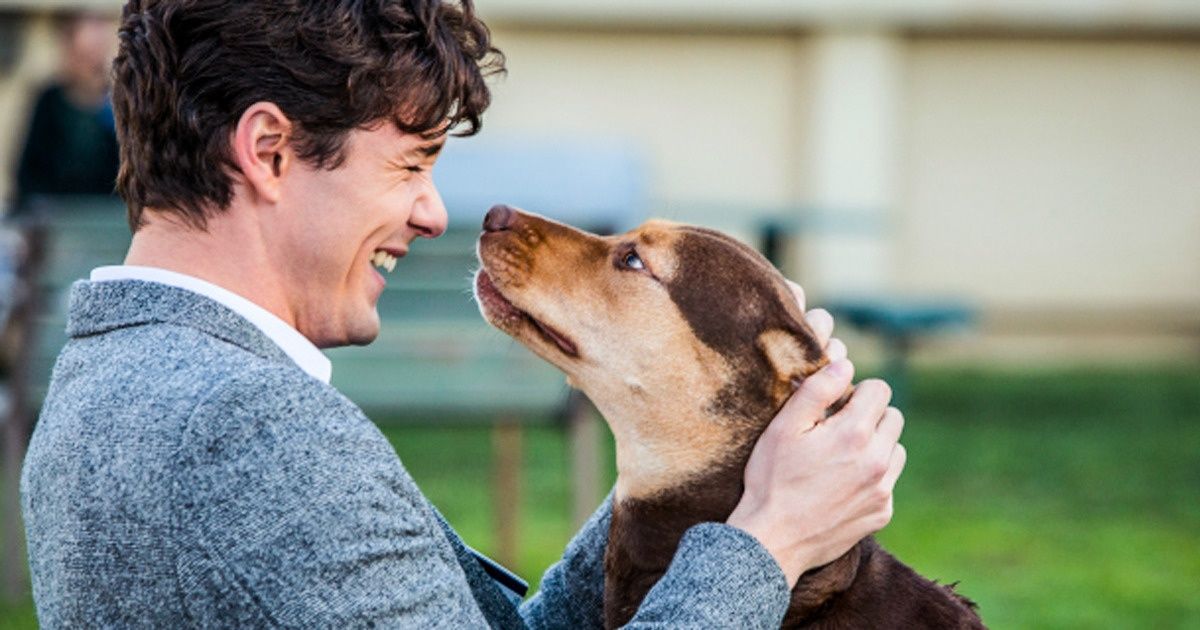 Estudo afirma que seu cachorro é capaz de julgar seu caráter pela forma como você se comporta com os outros Estudo afirma que seu cachorro é capaz de julgar seu caráter pela forma como você se comporta com os outros