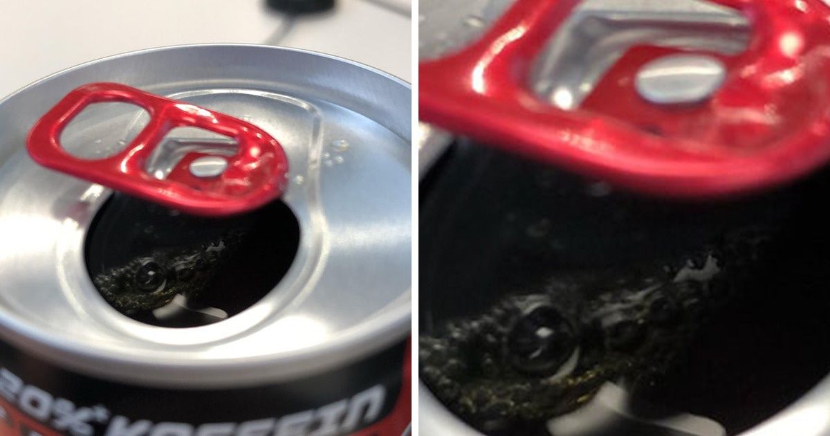 20+ Pessoas que se depararam com coisas assustadoras