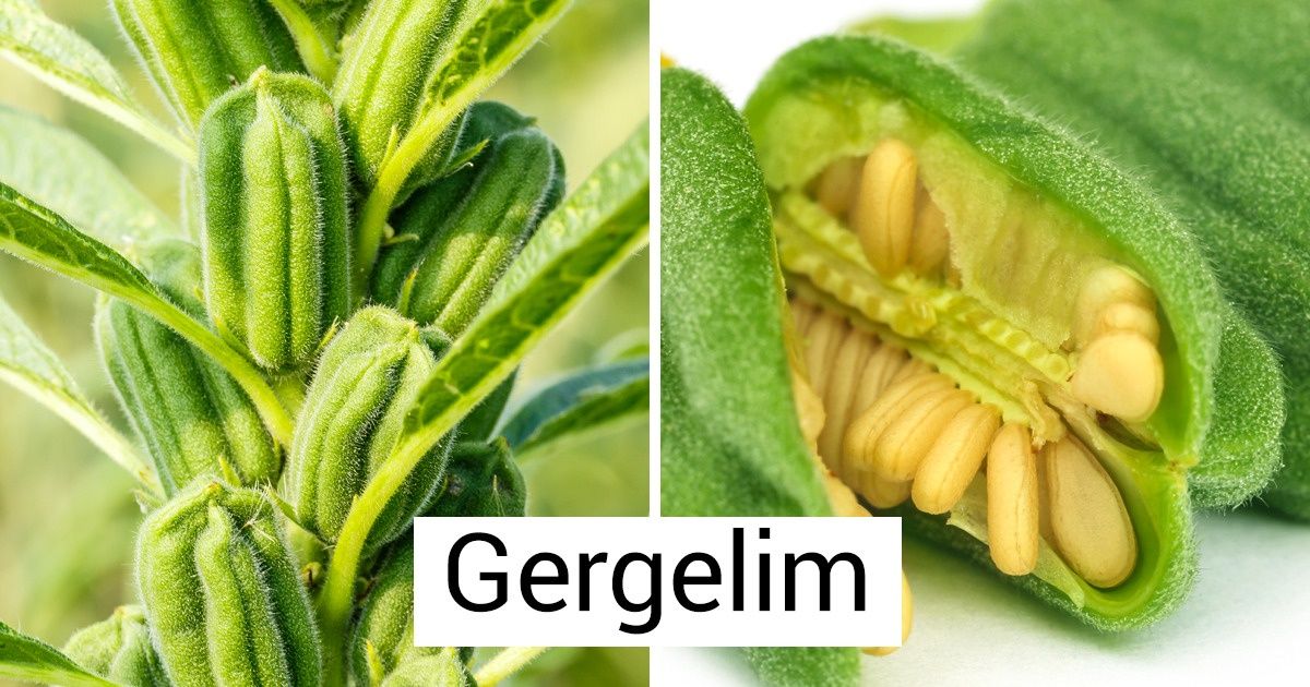 16 Alimentos que crescem de uma maneira totalmente diferente do que estamos acostumados a vê-los