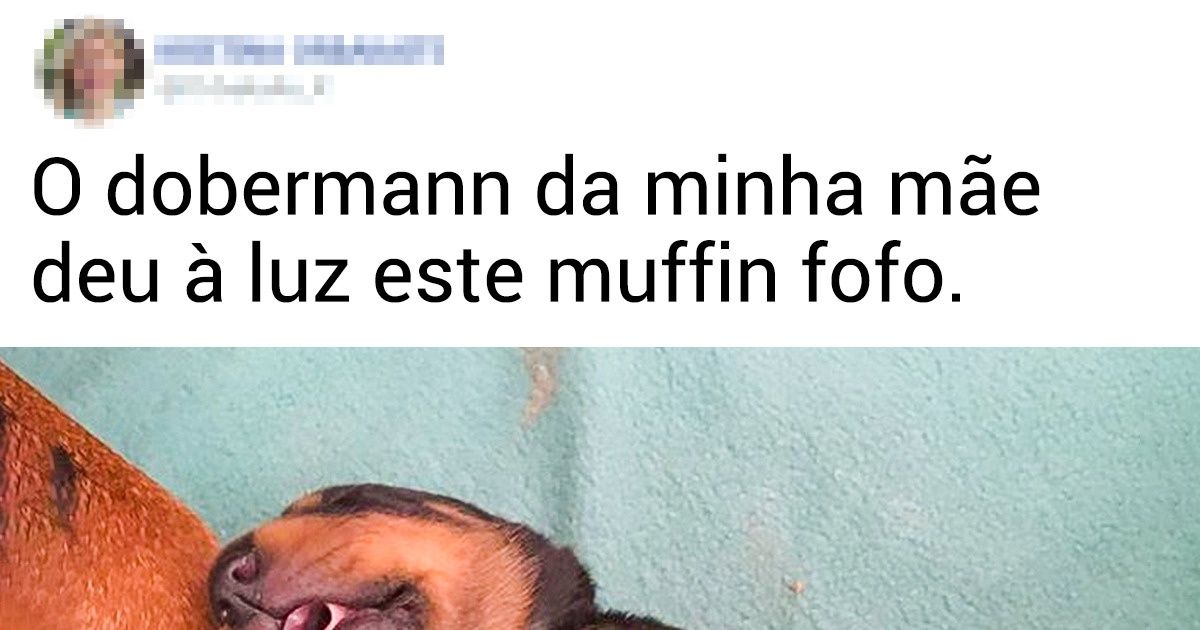 20+ Fotos que são uma verdadeira dose de positividade e fofura 20+ Fotos que são uma verdadeira dose de positividade e fofura