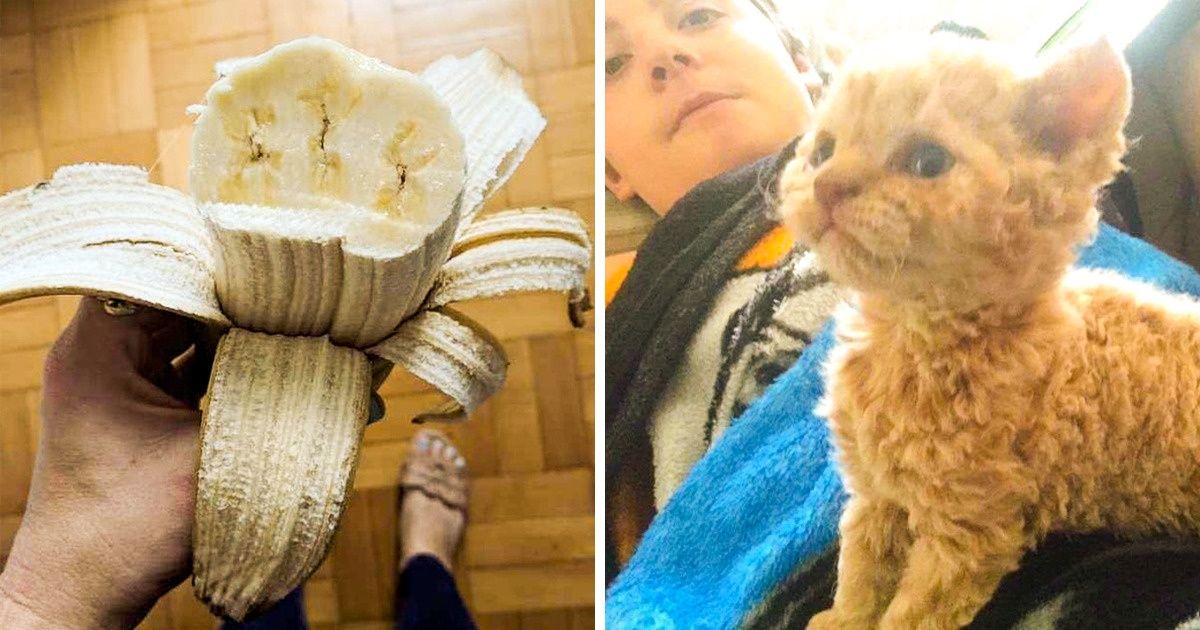 Fotos curiosas postadas na Internet