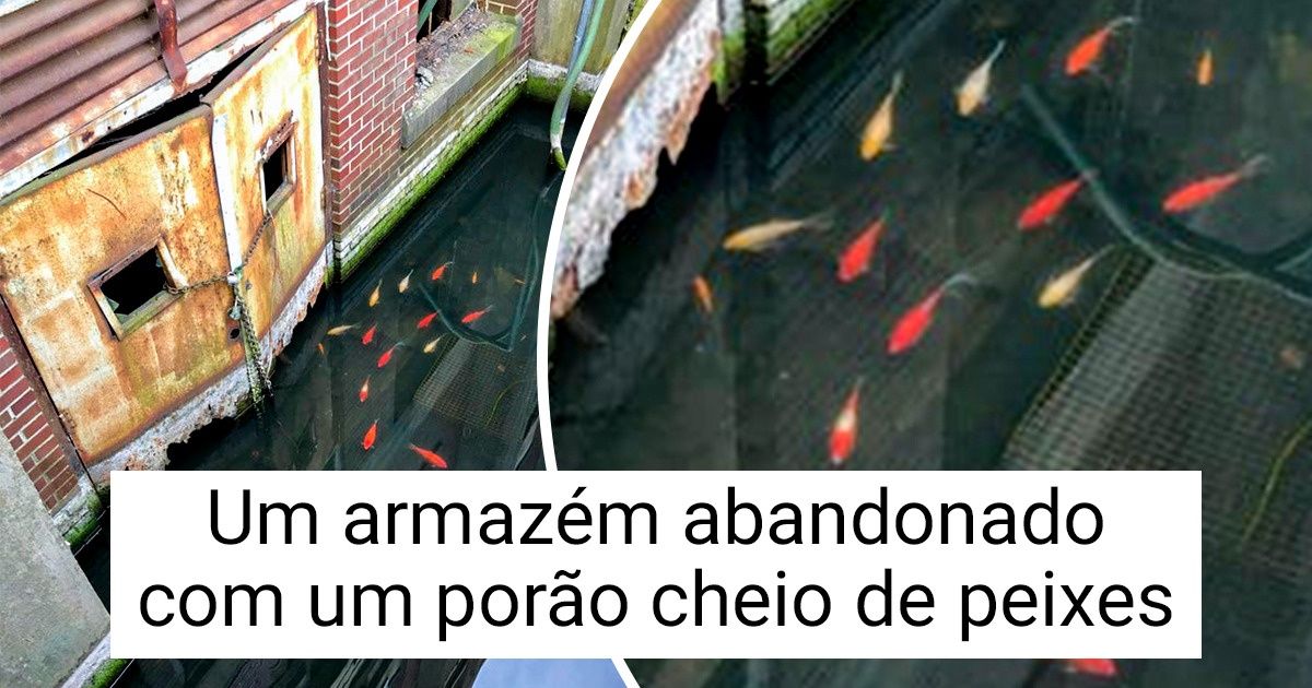 20+ Evidências de que a natureza sempre encontra seu caminho apesar de tudo