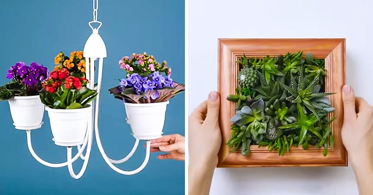 19 Ideias super baratas para redecorar o seu jardim e a sua casa 19 Ideias super baratas para redecorar o seu jardim e a sua casa