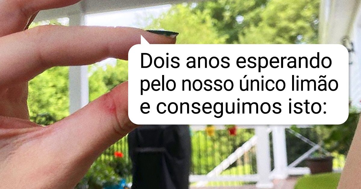 20 Pessoas que provavelmente não conseguiriam ganhar a vida como agricultoras 20 Pessoas que provavelmente não conseguiriam ganhar a vida como agricultoras