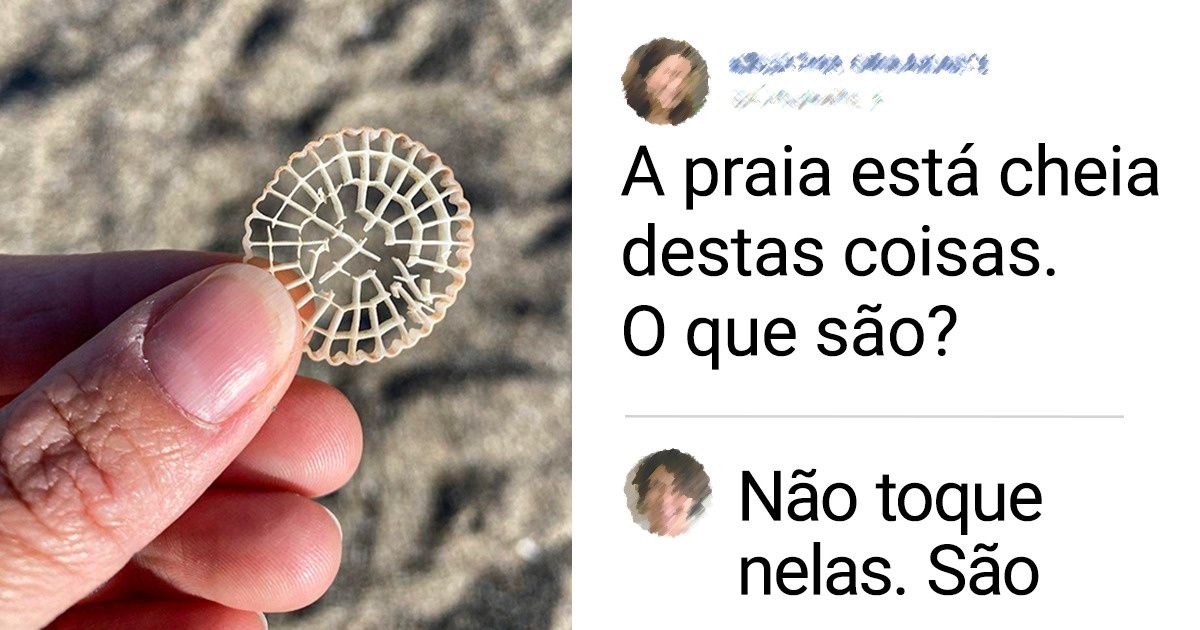 21 Pessoas que estavam relaxando na praia e acharam verdadeiros tesouros 21 Pessoas que estavam relaxando na praia e acharam verdadeiros tesouros
