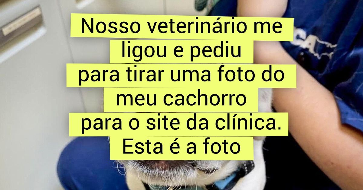 18 Fotos que provam que o trabalho de um veterinário nunca é entediante 18 Fotos que provam que o trabalho de um veterinário nunca é entediante
