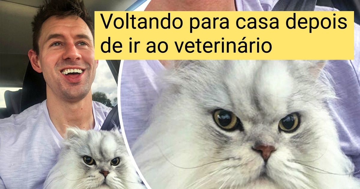 20+ Visitas à clínica veterinária que os donos de pets recordarão para toda a vida