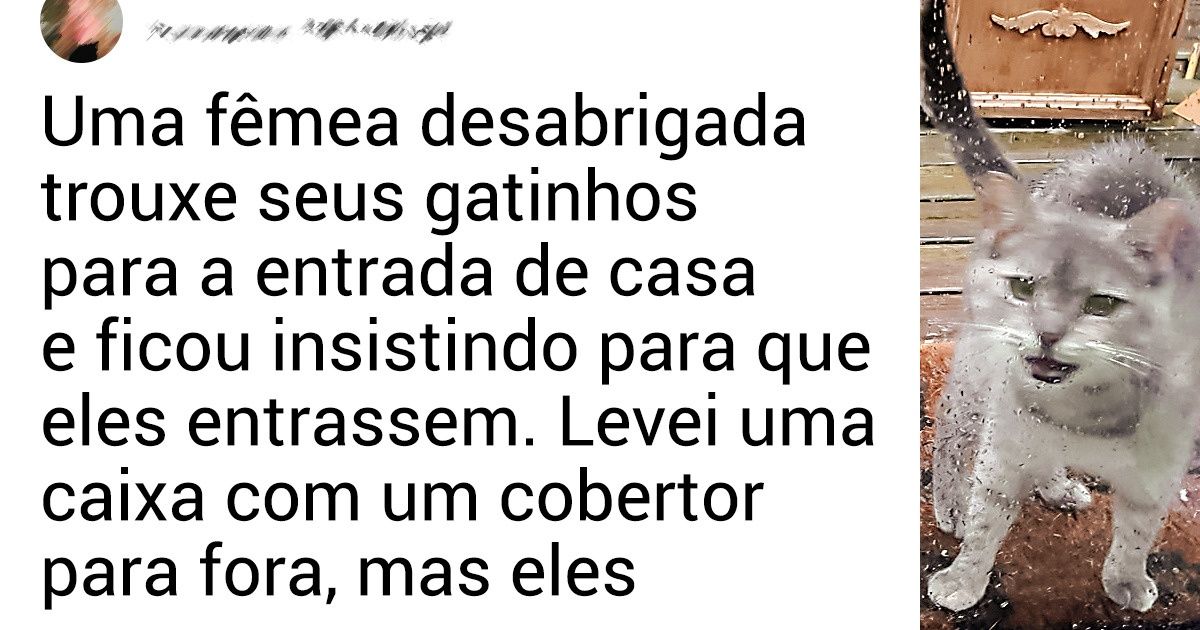 19 Animais que tomaram iniciativa e encontraram um novo dono 19 Animais que tomaram iniciativa e encontraram um novo dono