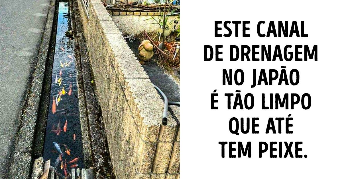 20 Coisas estranhas (ou espantosas) que são totalmente normais no Japão