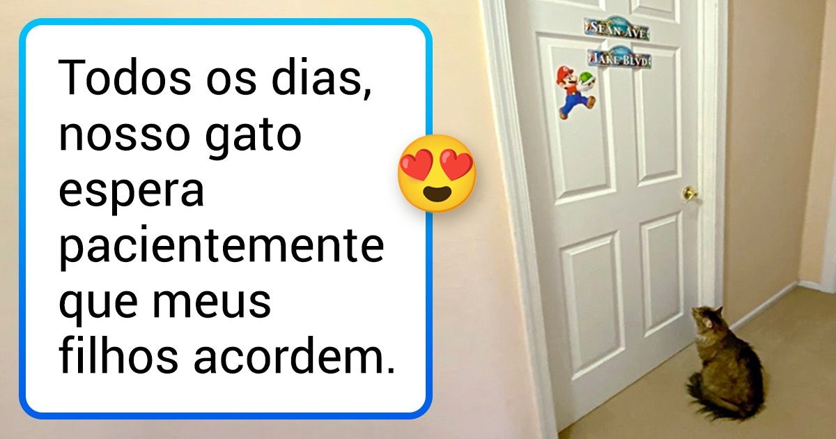 20 Imagens revelam que nossos pets, assim como nós, possuem manias e hábitos matutinos 20 Imagens revelam que nossos pets, assim como nós, possuem manias e hábitos matutinos