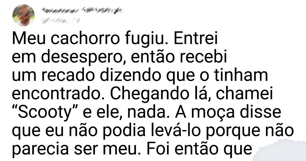 20 Pets metidos a comediantes que pregaram as maiores peças em seus donos