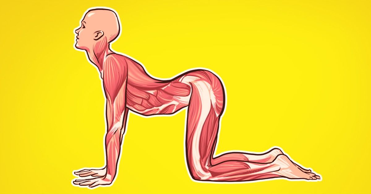O que acontece se você exercitar o pescoço todos os dias? O que acontece se você exercitar o pescoço todos os dias?