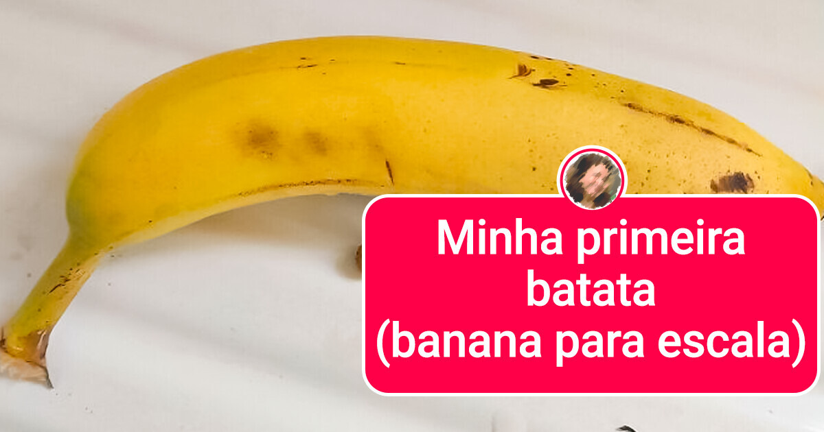18 Internautas que se surpreenderam hilariamente ao tentar cultivar seus próprios alimentos 18 Internautas que se surpreenderam hilariamente ao tentar cultivar seus próprios alimentos