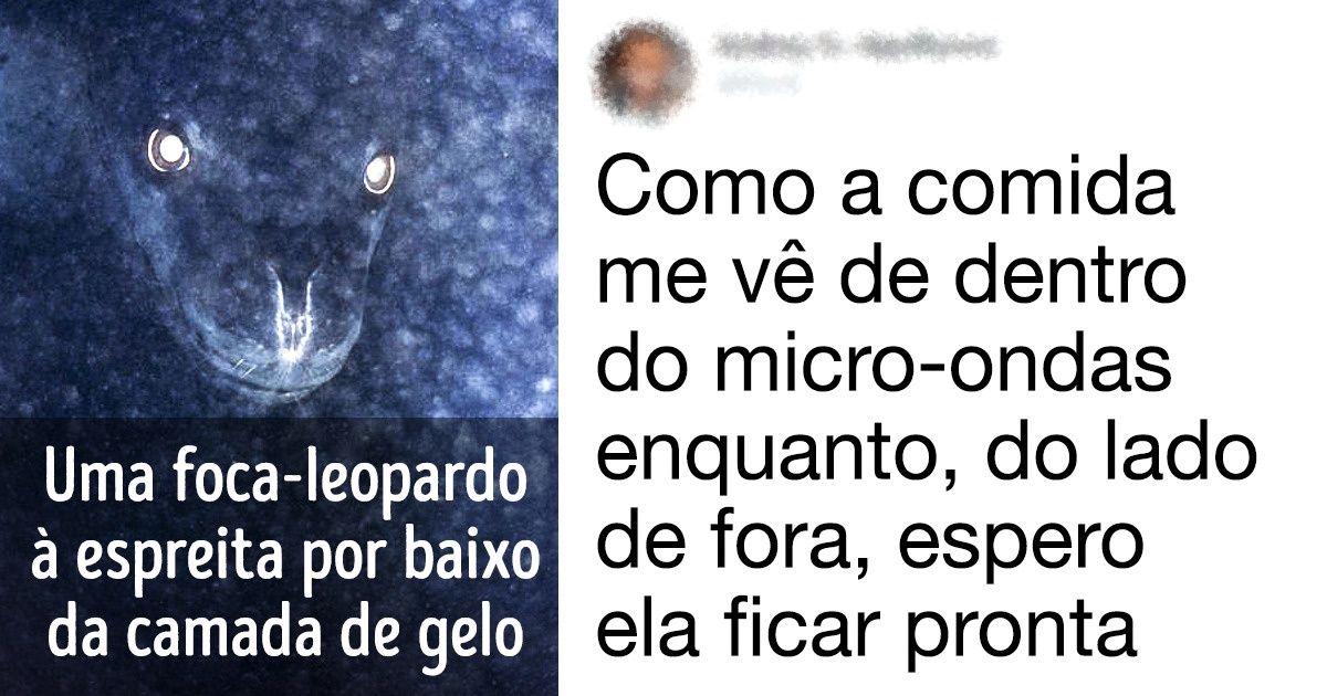 Pessoas com uma imaginação pra lá de fértil
