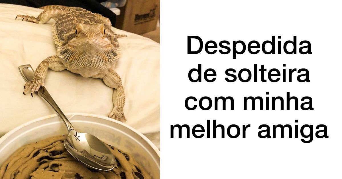 Fotos que provam que a amizade verdadeira não tem limites