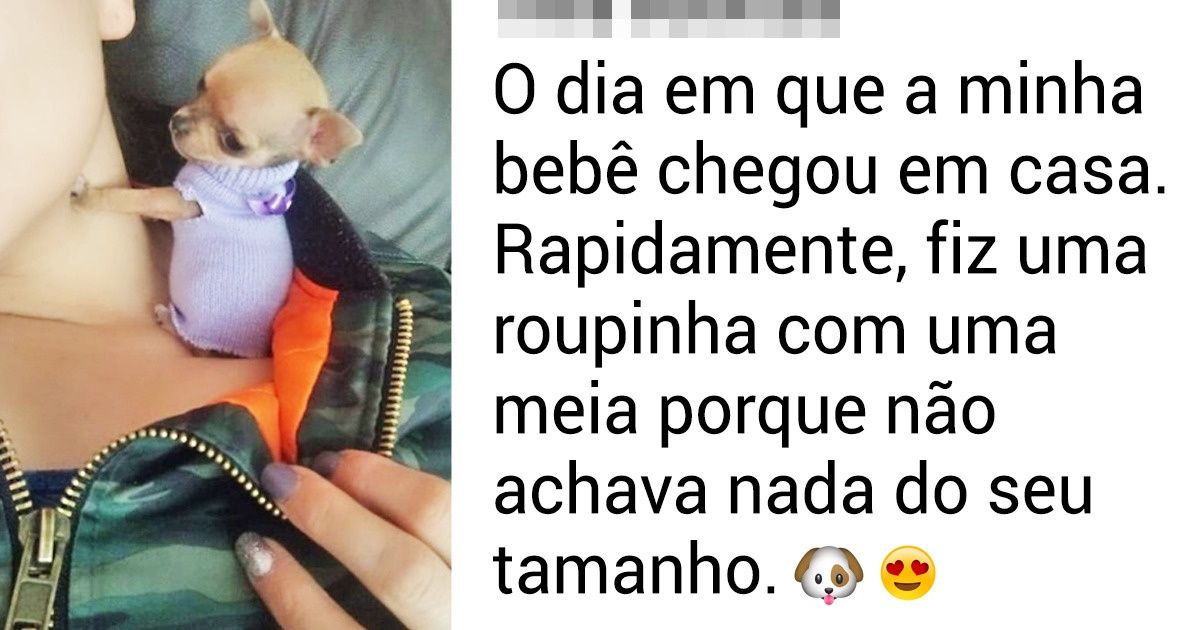 15+ Lembranças dos leitores do Incrível sobre seus primeiros bichos de estimação 15+ Lembranças dos leitores do Incrível sobre seus primeiros bichos de estimação