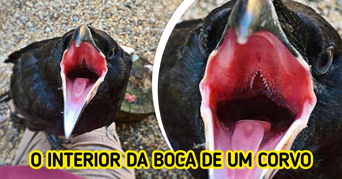 19 Fotos impressionantes que não deixam ninguém indiferente 19 Fotos impressionantes que não deixam ninguém indiferente