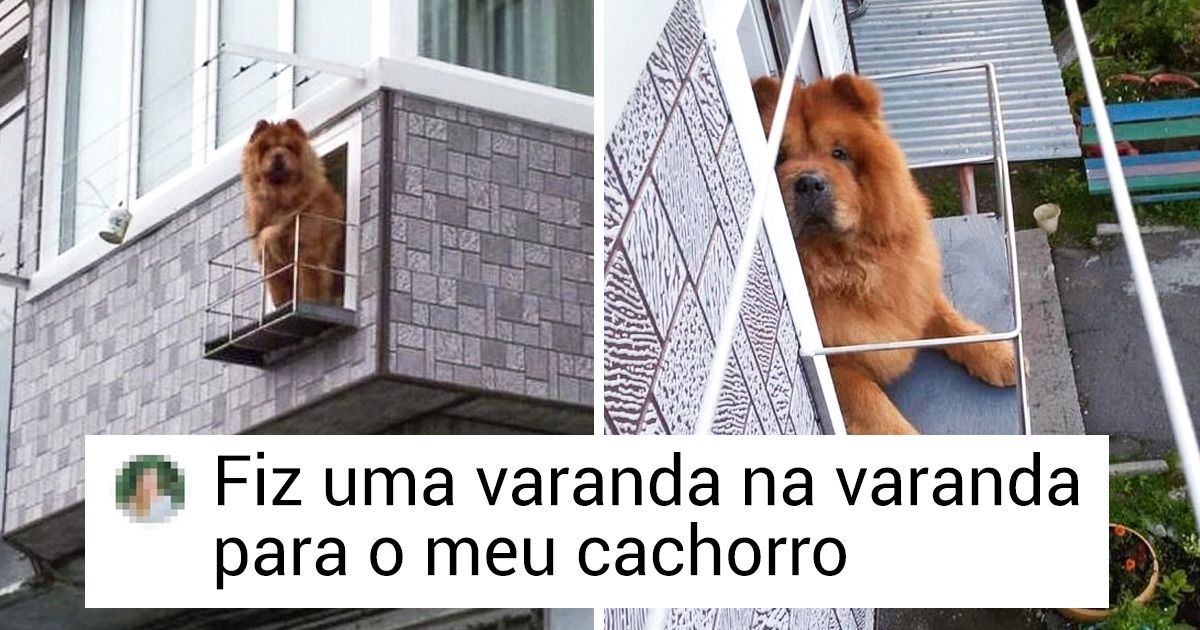 15 Fotos que provam que não há limites para a engenhosidade humana