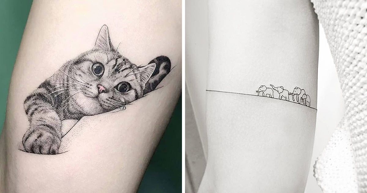 Prepare-se para ver as tatuagens mais fofas do mundo Prepare-se para ver as tatuagens mais fofas do mundo