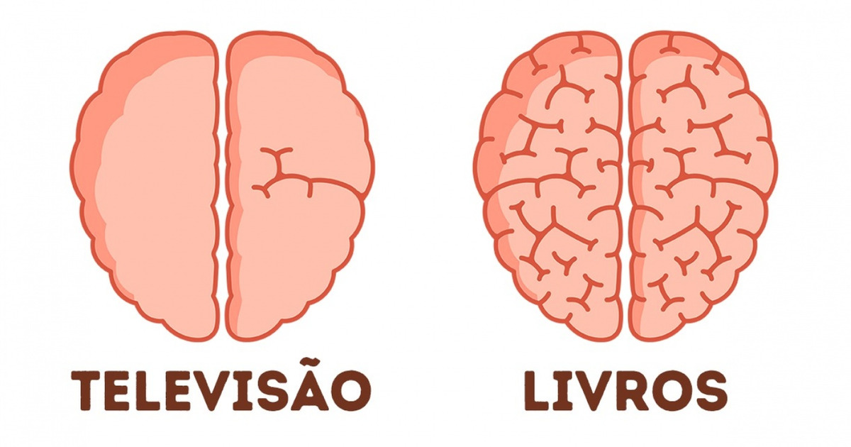 Detalhes sobre o funcionamento do cérebro