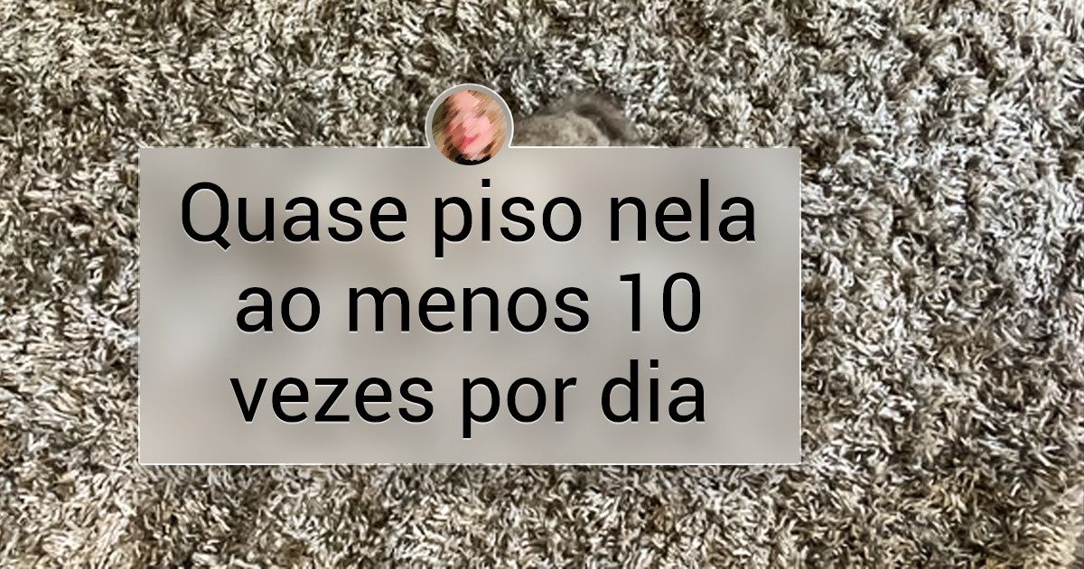 21 Animais de estimação que parecem testar as habilidades dos seus humanos para brincar de esconde-esconde