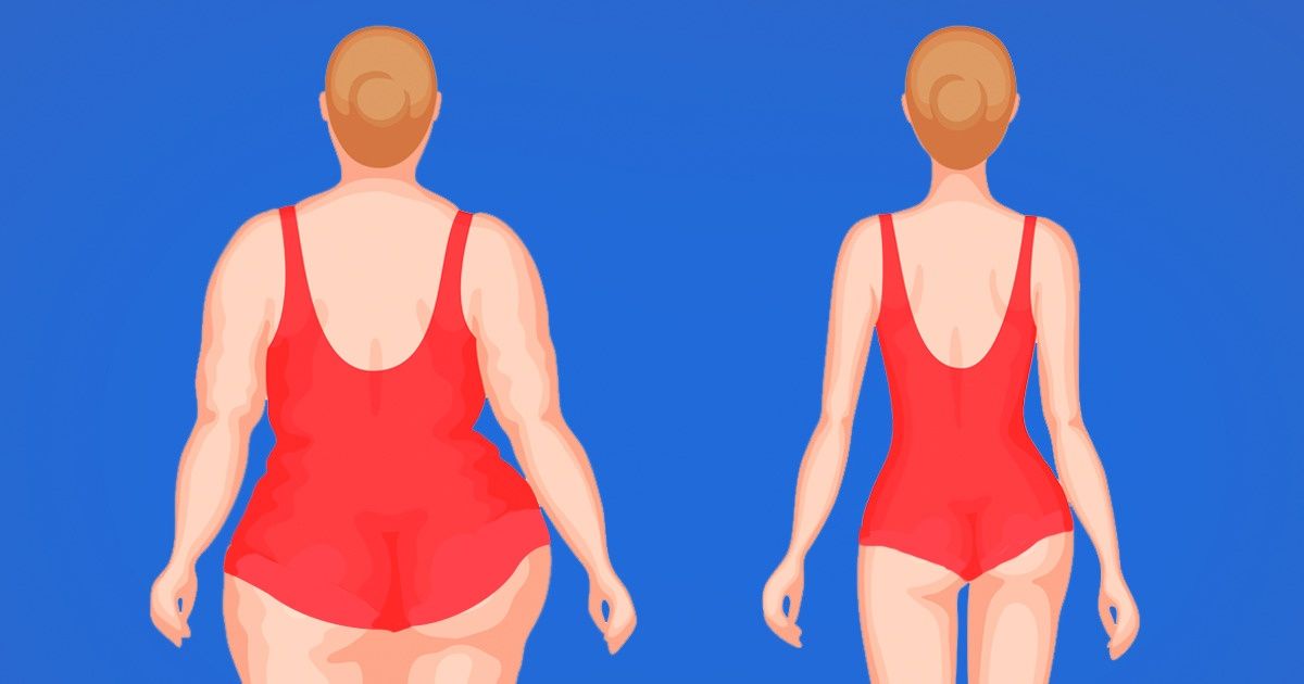 8 Alimentos ricos em gordura, mas que ajudam a emagrecer 8 Alimentos ricos em gordura, mas que ajudam a emagrecer