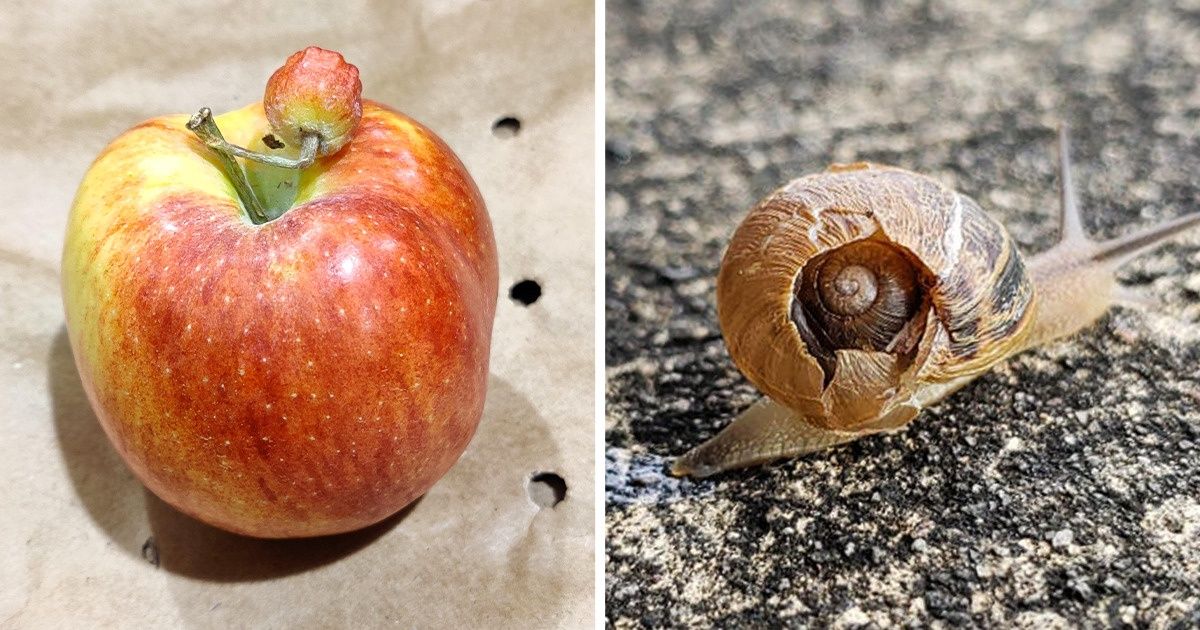 20 Mostras de que a magia da vida pode se encontrar em lugares inesperados 20 Mostras de que a magia da vida pode se encontrar em lugares inesperados