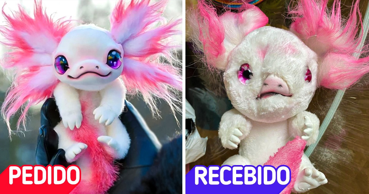 15 Pessoas que receberam objetos bem diferentes do que esperavam