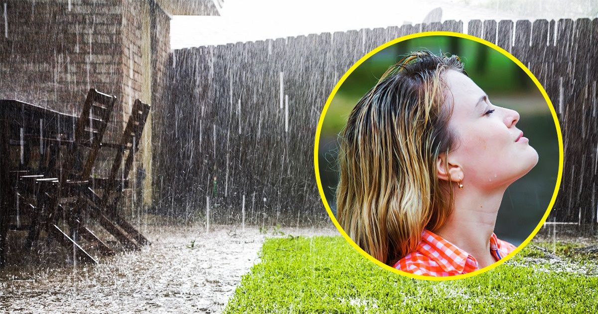 Por que a chuva e a terra molhada cheiram tão bem