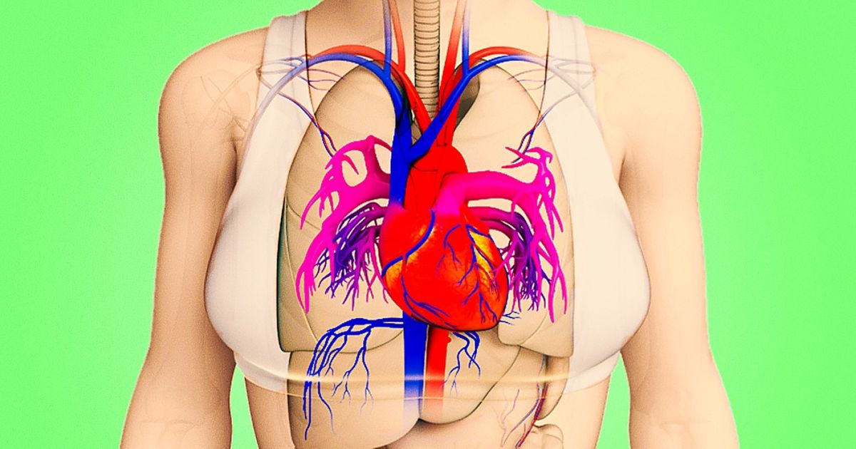 Os 8 sintomas que antecipam um ataque cardíaco Os 8 sintomas que antecipam um ataque cardíaco