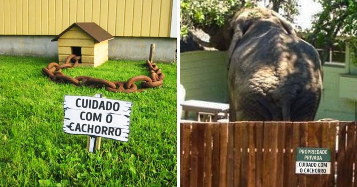 As 15 placas de ’Cuidado com o cão’ mais bizarras do mundo