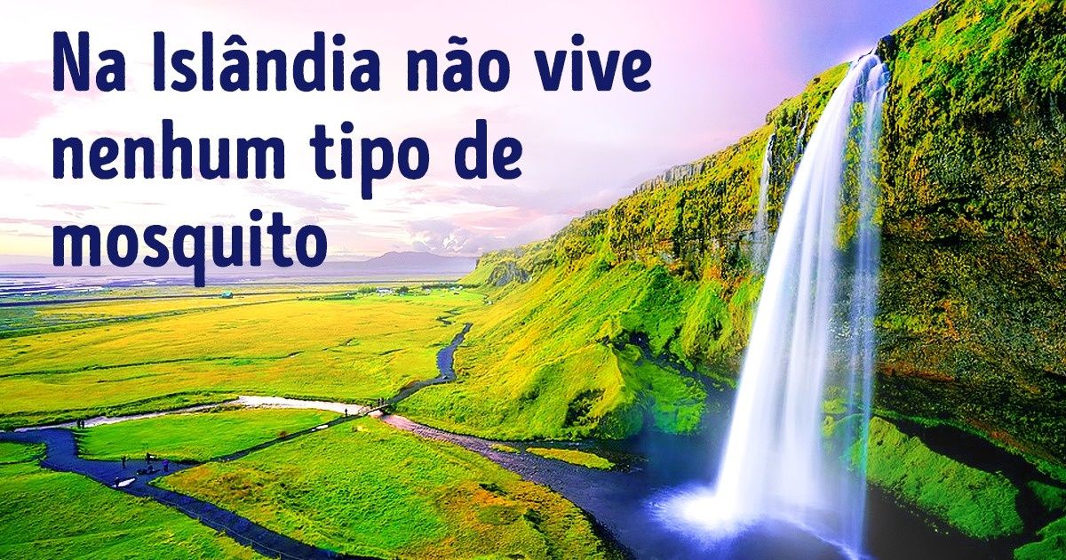 14 Coisas que tornam a Islândia mais legal que a Terra Média