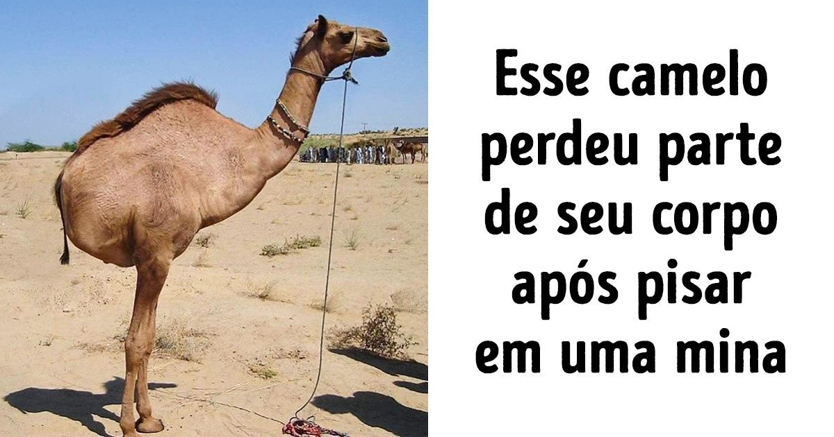 14 Imagens alteradas no Photoshop que parecem ser muito reais