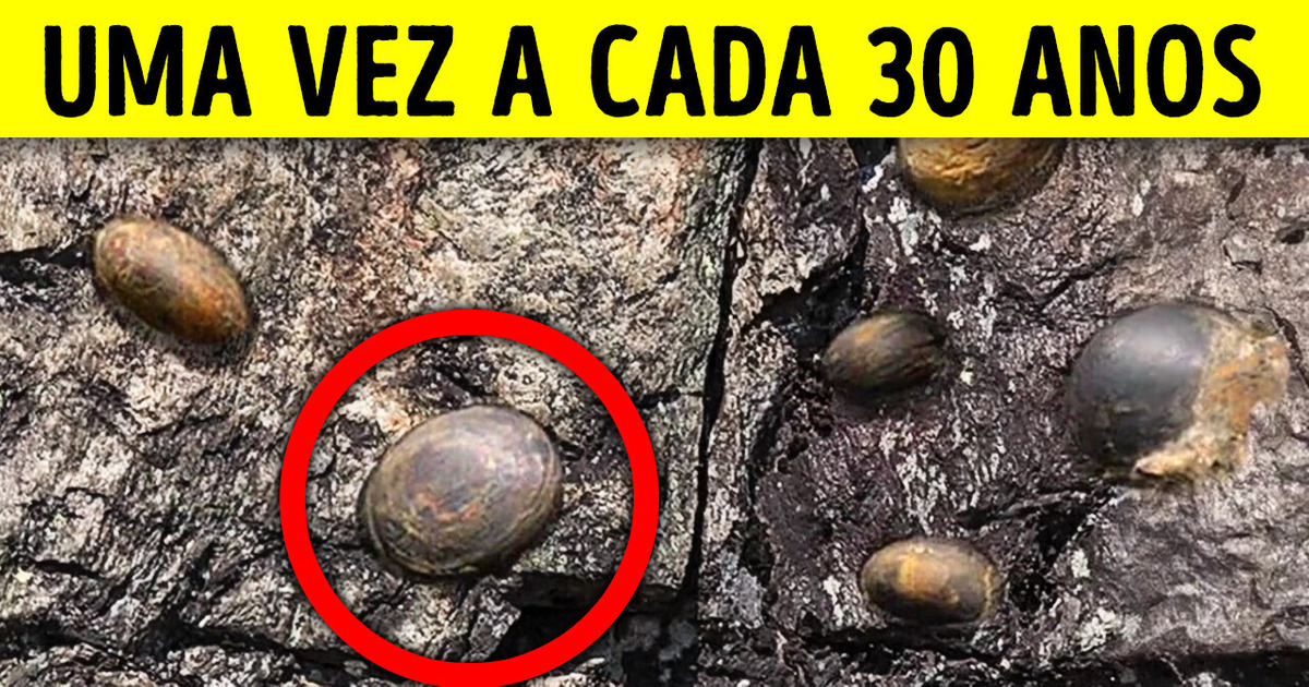 O mistério da montanha que ’põe ovos’ O mistério da montanha que ’põe ovos’