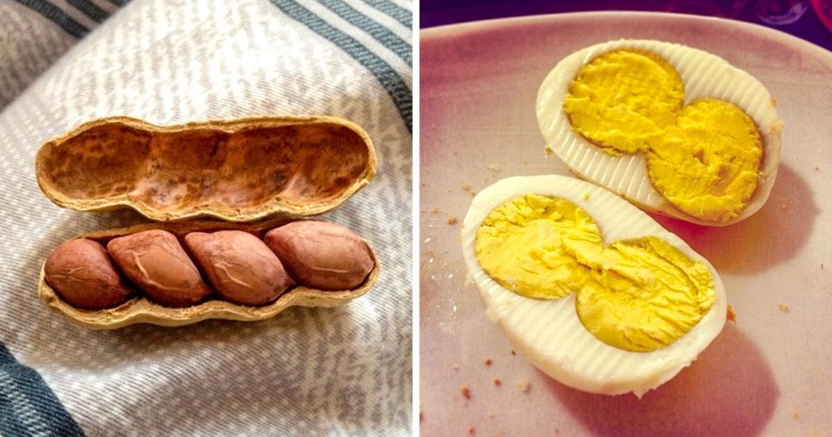 20+ Pessoas que ganharam na loteria dos alimentos (novas fotos)