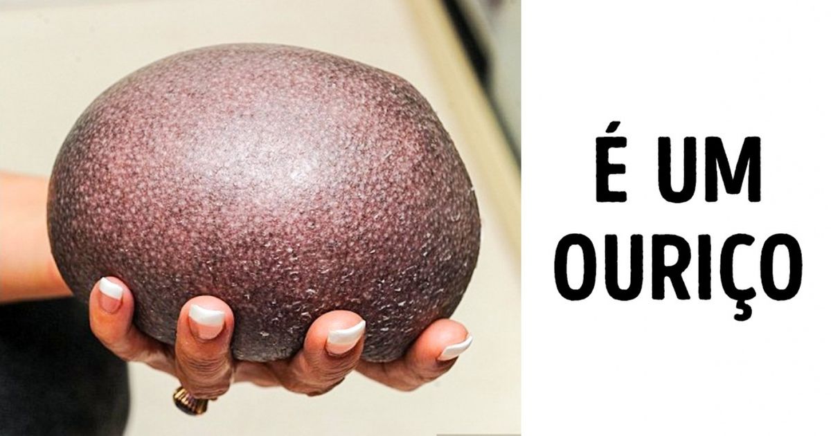 15 Fotos de coisas cotidianas nos deixaram de queixo caído