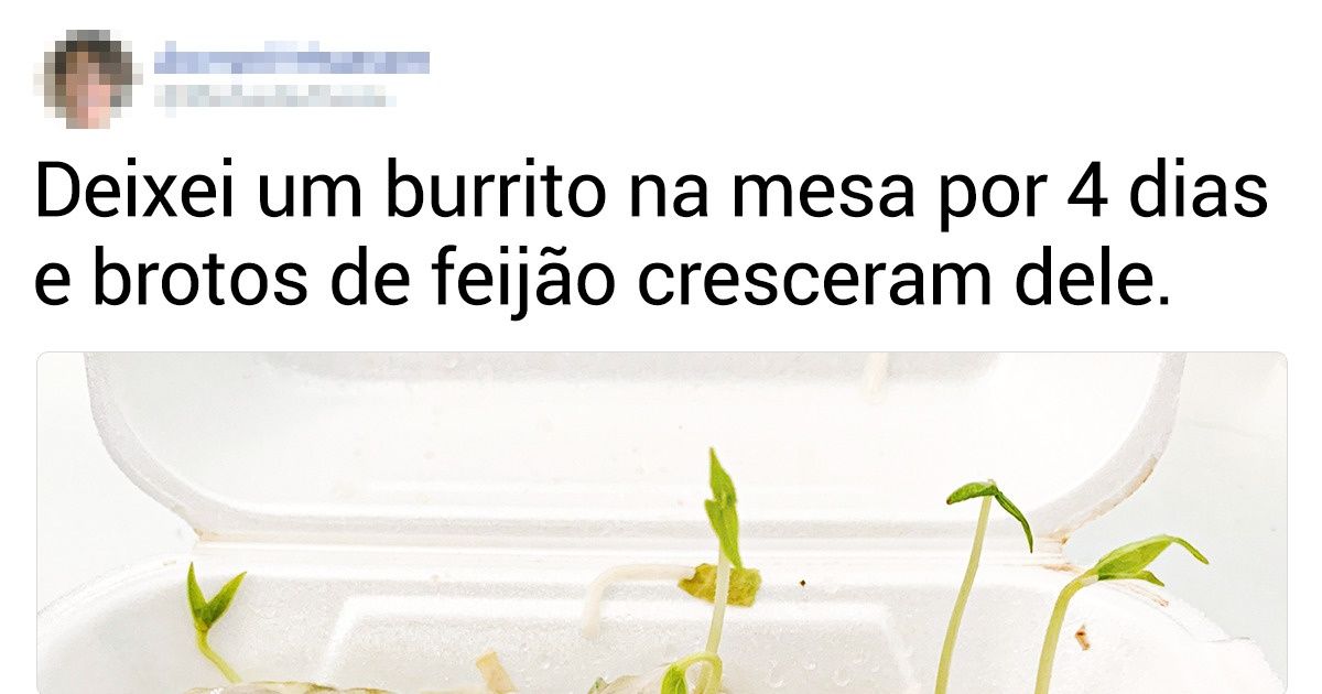 20 Fotos curiosas de coisas do dia a dia que parecem até montagens 20 Fotos curiosas de coisas do dia a dia que parecem até montagens