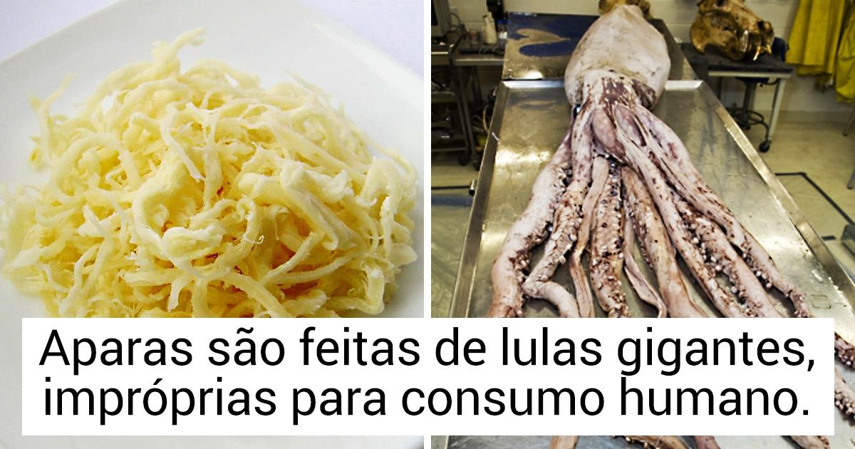 Como escolher frutos do mar para comer sem riscos à sua saúde Como escolher frutos do mar para comer sem riscos à sua saúde
