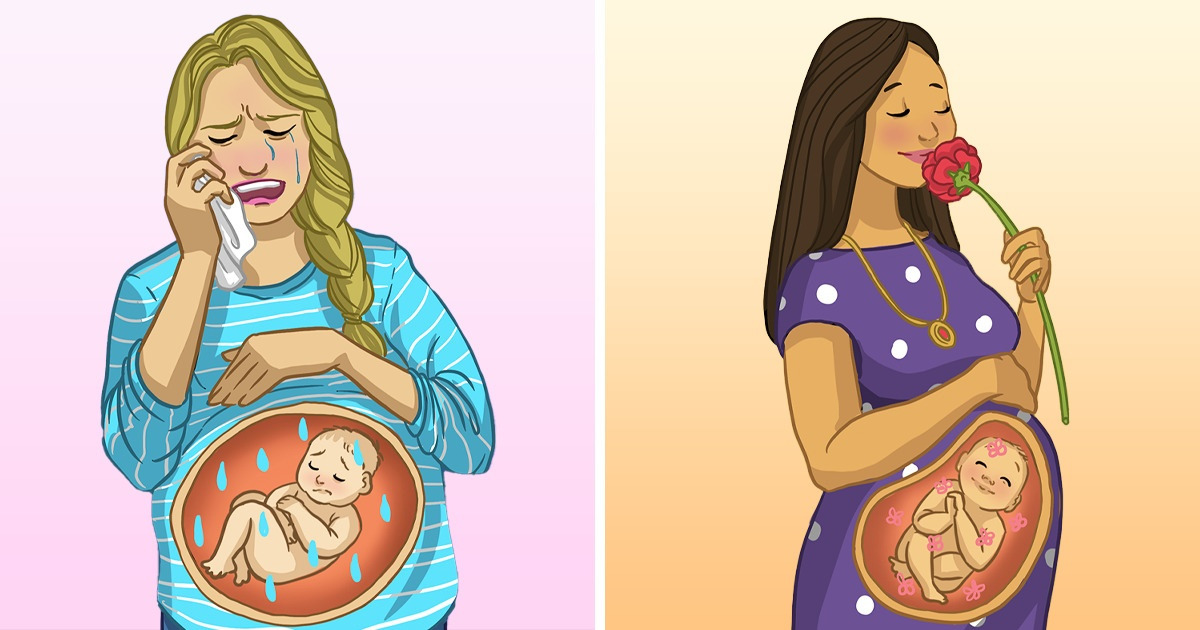 7 Fatos curiosos sobre os fetos para provar que eles não passam seu tempo apenas boiando e dormindo