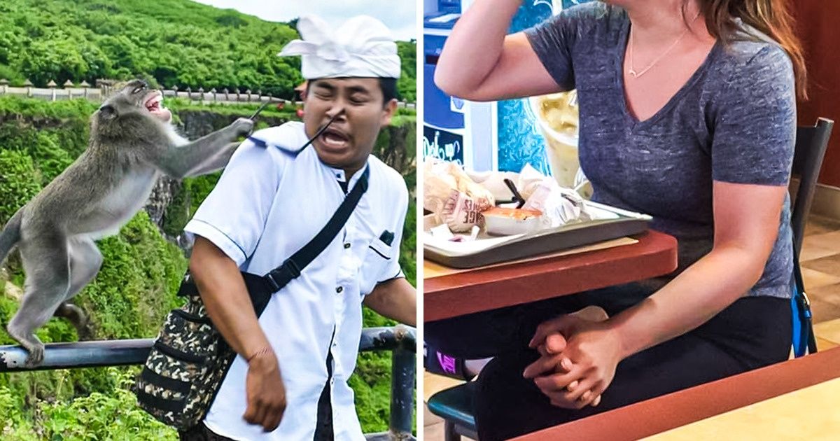 20+ Internautas que tiveram a sagacidade de fazer um clique na hora exata e no lugar certo