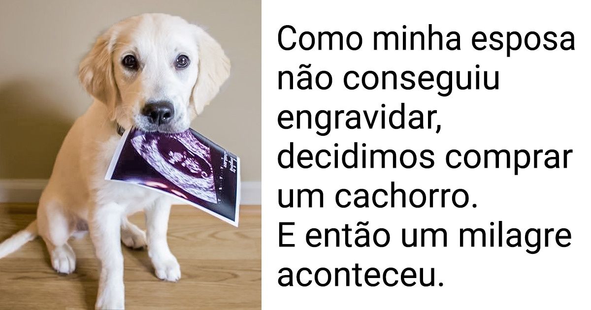 15 Fotos para começar o dia com uma bela dose de alegria