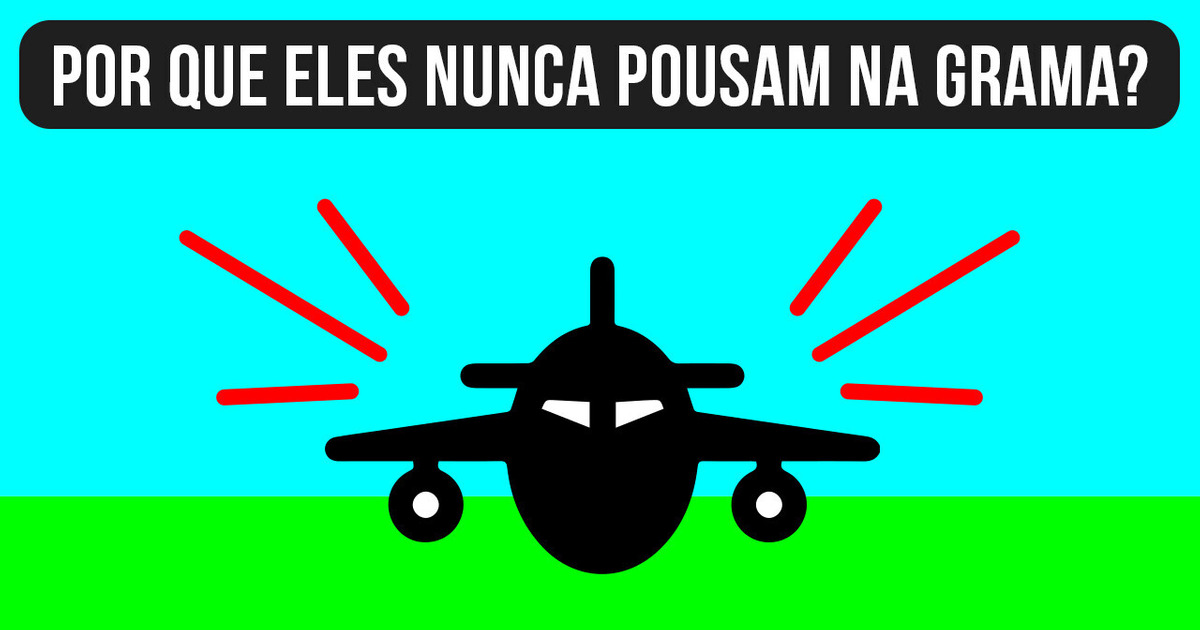 Por que os aviões não pousam na grama + 9 fatos impressionantes Por que os aviões não pousam na grama + 9 fatos impressionantes