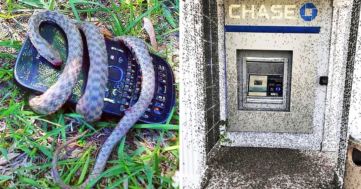 15+ Fotos capazes de tirar qualquer um da zona de conforto