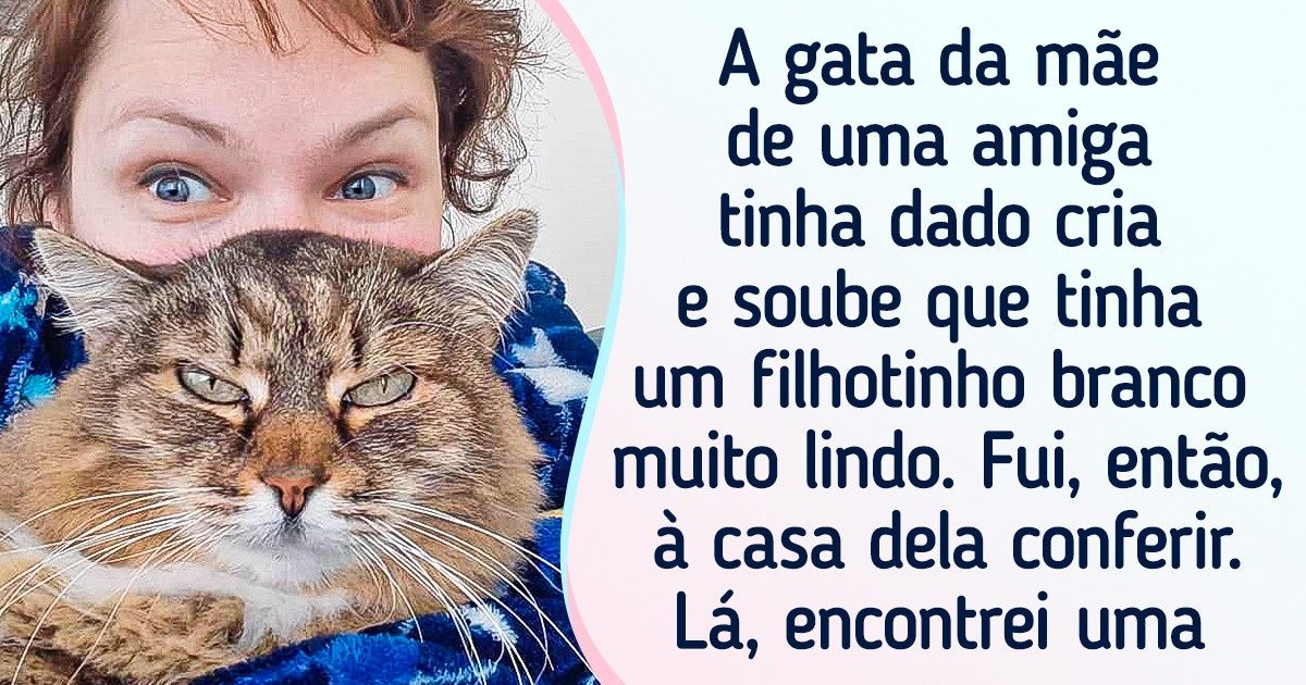 20+ Animais de estimação que decidiram não esperar pelo destino e escolheram seus donos por conta própria