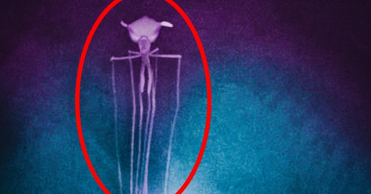 12 Misteriosos objetos que mostram como o mar está cheio de segredos