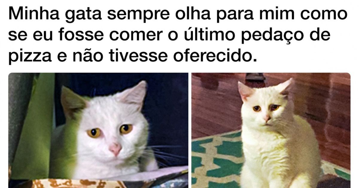 15 Tuítes de pessoas que vivem com atores profissionais